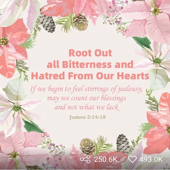 Meet your Posher, E Ibarra - Picture 1 of 1